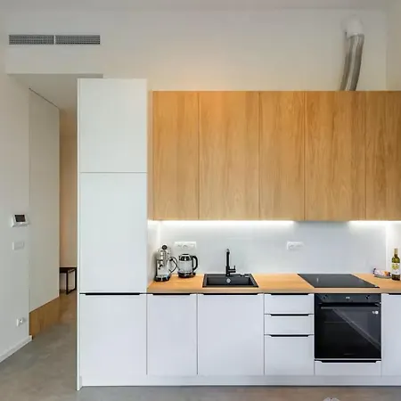 Modern Hidden Oasis In Apartment